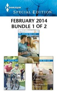 Baixar Harlequin special edition february 2014 – bundle pdf, epub, eBook