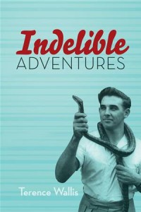 Baixar Indelible adventures pdf, epub, eBook