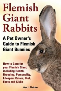 Baixar Flemish giant rabbits, a pet owners guide to pdf, epub, eBook