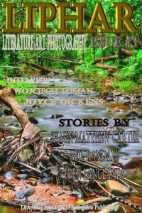 Baixar Liphar magazine issue 3 pdf, epub, eBook
