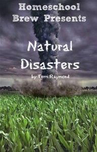Baixar Natural disasters pdf, epub, eBook