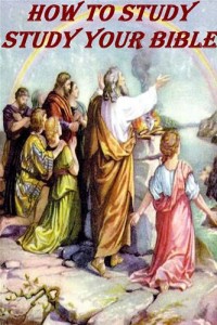 Baixar How to study your bible kjv pdf, epub, eBook