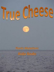 Baixar True cheese pdf, epub, eBook