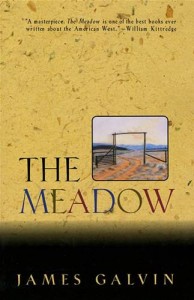 Baixar Meadow, the pdf, epub, eBook