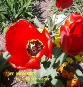 Baixar Free moments pdf, epub, eBook
