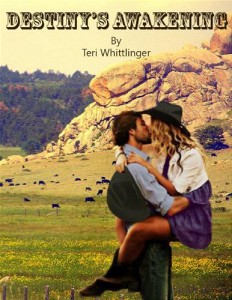 Baixar Destiny’s awakening pdf, epub, eBook