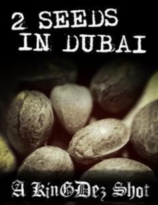 Baixar 2 seeds in dubai! pdf, epub, eBook