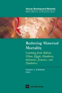 Baixar Reducing Maternal Mortality: Learning from Bolivia, China, Egypt, Honduras, Indonesia, Jamaica and Z pdf, epub, eBook