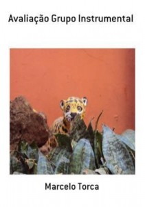 Baixar Avaliação Grupo Instrumental pdf, epub, eBook