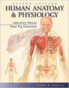 Baixar Human anatomy and physiology pdf, epub, eBook
