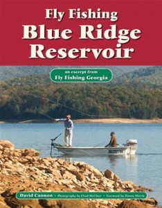Baixar Fly fishing blue ridge reservoir pdf, epub, eBook