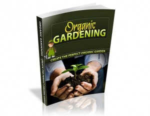 Baixar Organic gardening for beginners pdf, epub, eBook