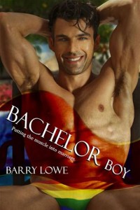 Baixar Bachelor boy pdf, epub, eBook