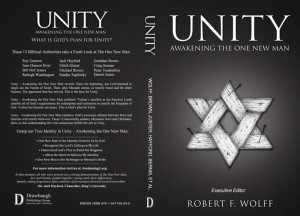 Baixar Unity: awakening the one new man pdf, epub, eBook