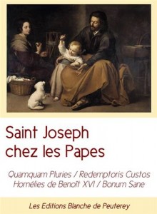 Baixar Saint joseph chez les papes pdf, epub, eBook