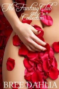 Baixar Fantasy club collection, the pdf, epub, eBook