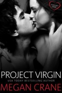 Baixar Project virgin pdf, epub, eBook