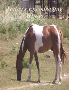 Baixar Today’s encouraging words: month of july pdf, epub, eBook