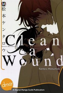Baixar Clean a wound pdf, epub, eBook