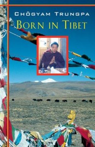 Baixar Born in tibet pdf, epub, eBook