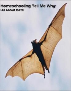 Baixar Homeschooling tell me why: (all about bats) pdf, epub, eBook