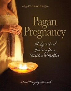 Baixar Pagan Pregnancy pdf, epub, eBook