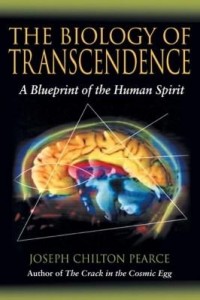Baixar The Biology of Transcendence: A Blueprint of the Human Spirit pdf, epub, eBook