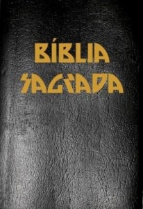 Baixar A Bíblia Sagrada Completa com Índice Ativo e Toutch na Nova Ortografia da Língua Portuguesa pdf, epub, eBook