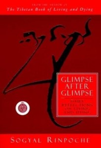 Baixar Glimpse After Glimpse pdf, epub, eBook