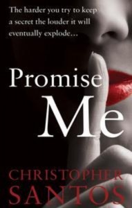 Baixar Promise me pdf, epub, eBook