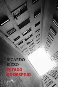 Baixar Estado de despejo pdf, epub, eBook