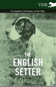 Baixar The English Setter – A Complete Anthology of the Dog pdf, epub, eBook