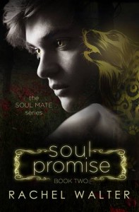 Baixar Soul promise pdf, epub, eBook