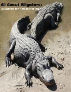 Baixar All about alligators: (alligators for pdf, epub, eBook