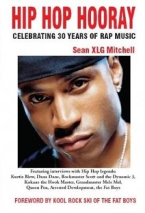 Baixar HipHopHooray: Celebrating 30 Years of Rap Music pdf, epub, eBook