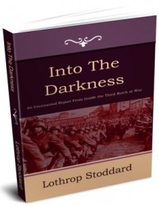 Baixar Into The Darkness pdf, epub, eBook