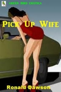 Baixar Pick up wife pdf, epub, eBook