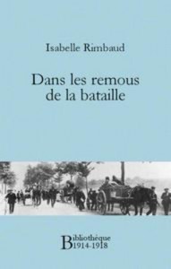 Baixar Dans les remous de la bataille pdf, epub, eBook