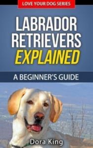 Baixar Labrador retrievers explained – a beginners pdf, epub, eBook