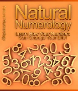Baixar Natural numerology pdf, epub, eBook