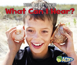 Baixar What can i hear? pdf, epub, eBook