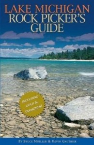 Baixar Lake Michigan Rock Picker's Guide pdf, epub, eBook