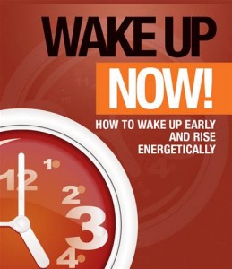 Baixar Wake up now pdf, epub, eBook