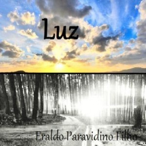Baixar LUZ pdf, epub, eBook