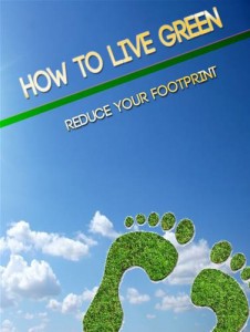 Baixar How to live green pdf, epub, eBook