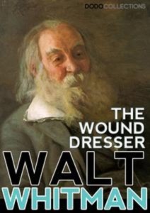 Baixar Wound dresser, the pdf, epub, eBook