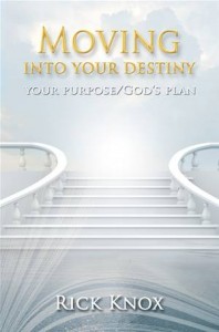 Baixar Your purpose/god’s plan pdf, epub, eBook