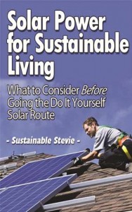 Baixar Solar power for sustainable living pdf, epub, eBook