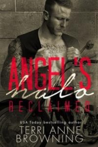 Baixar Angel’s halo: reclaimed pdf, epub, eBook
