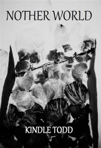Baixar Nother world pdf, epub, eBook